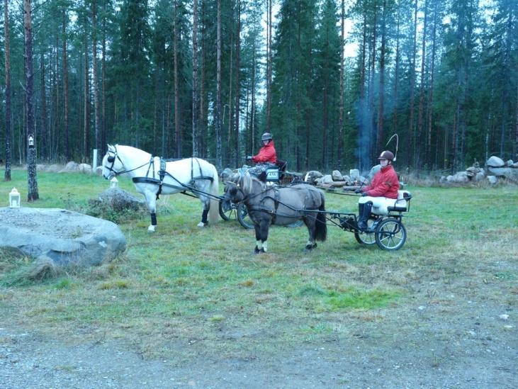 Ajamista ohjaavalla henkilöllä tulee olla hyvät hevostaidot ja ajamisen tekniikan hallinta, eri ajopeleillä.