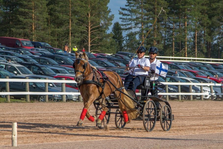 Ajajan ja avustajan varusteet Ajajalla tulee olla hyväksytty turvakypärä, ohjasotteiseen sopivat käsineet, turvaliivin käyttöä suositellaan.