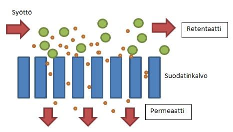 18 5.1.3 Bradford-menetelmä Bradford on proteiinimääritysmenetelmä, jossa proteiinit reagoivat happaman Coomassie Brilliant Blue väriaineen kanssa.
