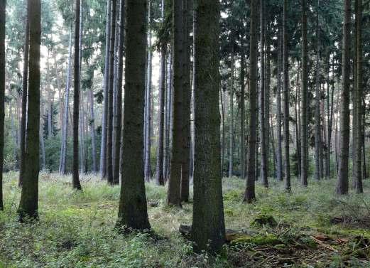 JUHLA- JA KOKOUSTILOJA Laajoen Urheilutalo - Vuokrattavana juhla-, hää-, perhe-, ym. tilaisuuksiin - Tilaa n.