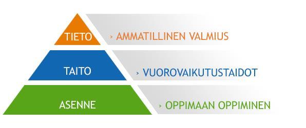 Vuorovaikutustyön osa-alueet Syväjohtaminen -valmennuksen