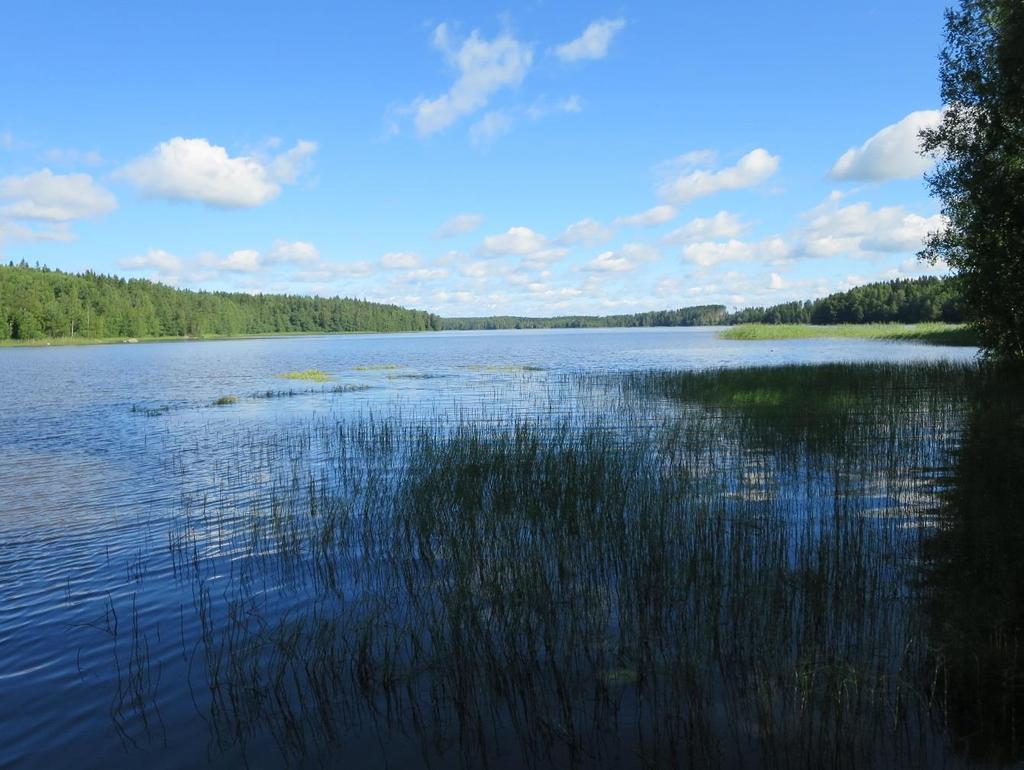 12(38) lasku on ilmeisesti ollut noin puoli metriä (Limnologian ja ympäristönsuojelun laitos 1992). Sahajärven tilavuus on noin 8 182 310 m³ ja teoreettinen viipymä 1 v 2 kk (428 vuorokautta).