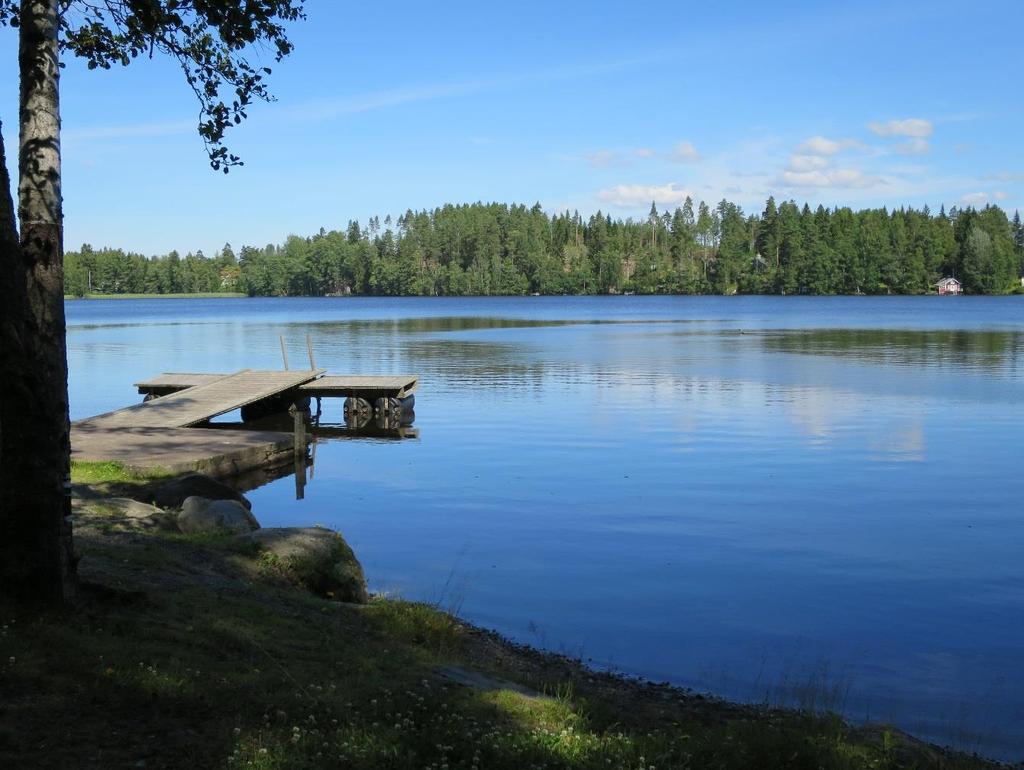 14(38) µg/l) perusteella. Järvi on rehevä, jos sen kokonaisfosforipitoisuus on 20 50 µg/l ja ylirehevä, jos sen klorofyllipitoisuus on yli 50 µg/l (Oravainen 1999).