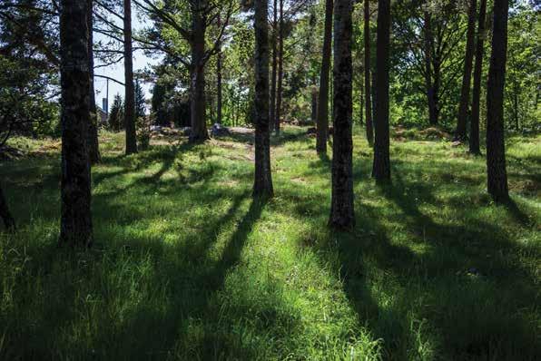 Myöhemmästä asutuksesta muistuttavat jo kadonneiden rakennusten kivijalat ja kellarikuoppien painanteet.