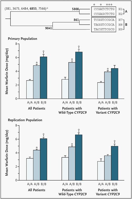 VKORC1- haplotyyppien vaikutus varfariinin annostarpeeseen * 5 SNPtä voimakkaassa kytkentäepätasapainossa -4931T>C (381) CYP2C9-genotyypin vaikutus vakaan varfariinipitoisuuden saavuttamiseen G/G