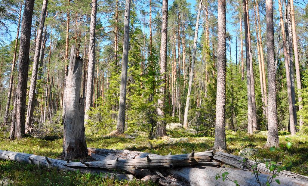 UHANALAISTEN LAJIEN SUOJELUN TOIMINTAOHJELMA Pyhä-Häkin kansallispuistoa yhteensä lähes 400.