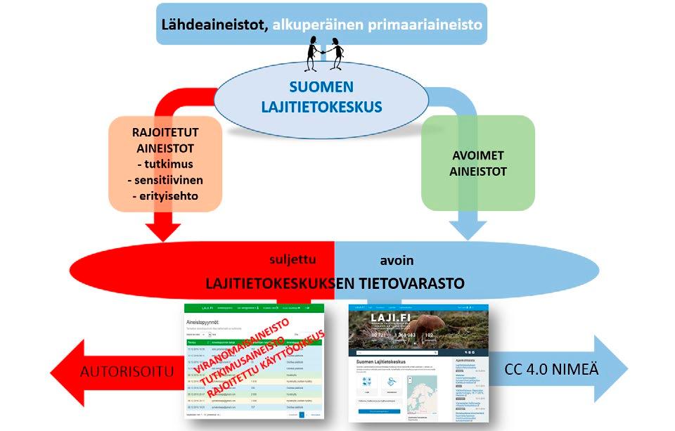 UHANALAISTEN LAJIEN SUOJELUN TOIMINTAOHJELMA Kuvio 1. Lajitietokeskuksen rakenne ja suhde muihin lähdeaineistoihin, mukaan luettuina uhanalaisten lajien tietoja sisältävät tietokannat.