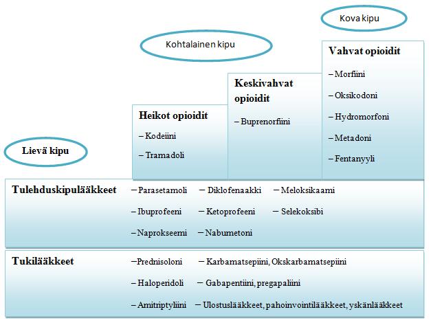 19 Kivun säännöllinen mittaaminen ja kirjaaminen ovat tärkeä osa kivun hoitoa, koska kipulääkitys valitaan kivun voimakkuuden ja kivun mekanismin mukaan.