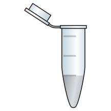 Kokogenomisekvensointi Bakteerikanta DNA, kirjasto