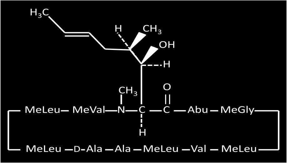 Takrolimuusin (C 44 H 69 NO 12 ) rakennekaava (Mukaillen The Merck index: an