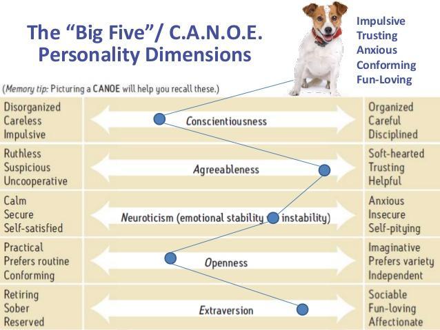 Persoonallisuuspiirteiden ryhmittelyt 21 Persoonallisuuden dimensiot Piirre Tunnollisuus (Conscientiousness) Miellyttävyys (Agreeableness) Tunne-elämän tasapaino (Neuroticism) Avoimuus kokemuksille