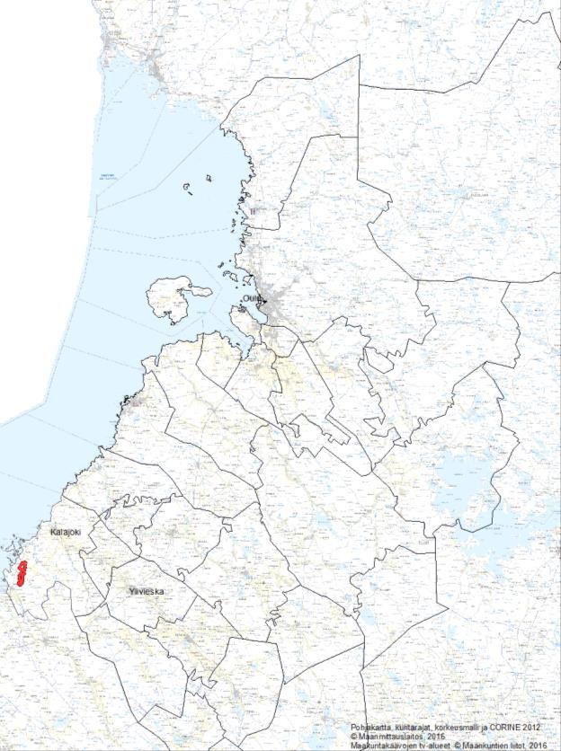 42 Alue Kalajoki Kokkokangas- Torvenkylä Kunta Kalajoki Yleiskuvaus Tuulivoima-alue sijaitsee Himangan kirkonkylän pohjoispuolella taajaman ja Torvenkylän välisellä alueella.