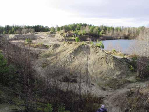 Pohjavesialueen kaikki soranottoalueet ovat jälkihoitamattomia, kunnostustarve vaihtelee vähäisestä mahdottomaan. Alueen 1 (kuva 186) kunnostustarve arvioitiin suureksi.