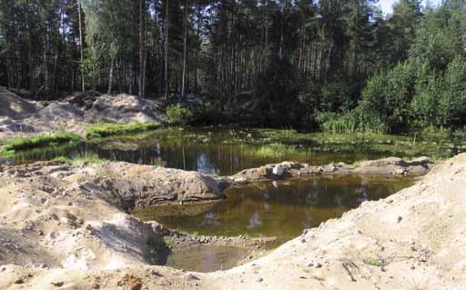 Soranottoalueet: Ekokankaan pohjavesialue, 1000452 II lk, Kauhava. Haarakangas-Mustaisnevankankaan pohjavesialueelta (kuvat 150-151) kartoitettiin yhdeksän soranottoaluetta.