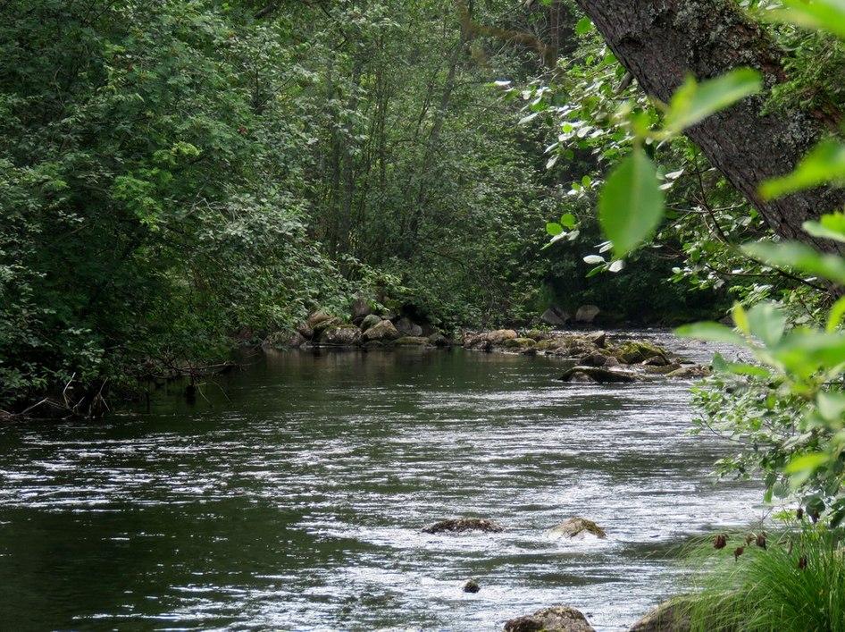 8 Maastotiedot: Jokiuoma kahden järven välissä, kosket matalia, kivikkoiset jokirinteet. Erirakenteinen metsä, piha-aluetta.