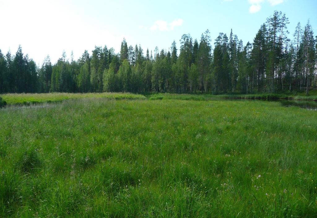 Karttimonjoen
