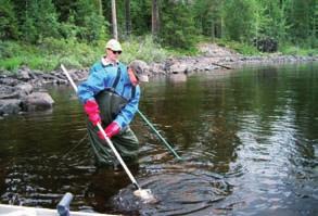 Kemijärvi Vuokkijärvi Kostonjärvi Ontojärvi Iso-Pyhäntä Irnijärvi Kiantajärvi Iso-Vietonen Koitere Raanujärvi Oulujärvi Nuasjärvi Hyrynjärvi Iijärvi Pielinen Kellojärvi Lentua Änättijärvi Miekojärvi