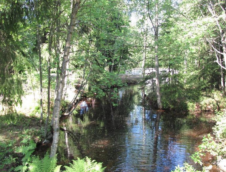 Keskellä puistoa löytyy onneksi myös kasvihuoneiden yhteydessä toimiva kahvila Kiikku,