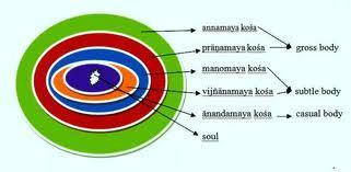 Monitasoinen sisäinen anatomia Kehon, tunteiden ja mielen yhteys