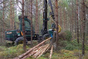 metsäohjelma Pitkän aikavälin ilmasto-