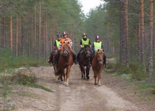 Saariveden kämppä Ainoa Pikkuradan ajalta säilynyt savottakämppä. Vuokraus http://www.lomarengas.fi/ Kämppä sopii niin isoille, kuin pienille ryhmille. Makuupaikkoja 32 kpl. Ajo-ohje: Sievistä n.
