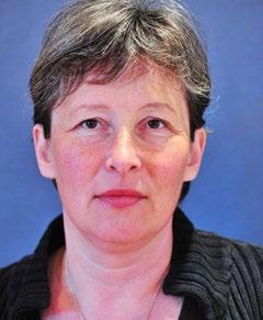 professori Heikki Hiilamo, Helsingin yliopisto
