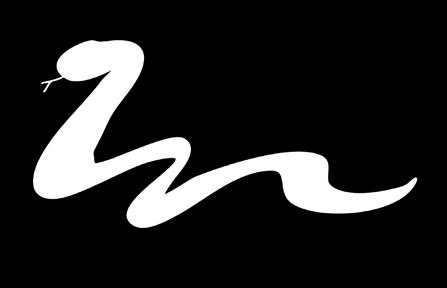 jä-nis