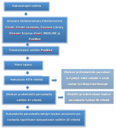 25 Kuvio 3.