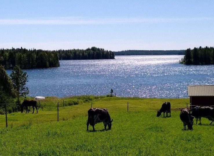 OSAO Kaukovainion liiketalous