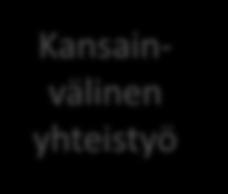 Liite: Kehittämisen yhdyspinnat Kansainvälinen yhteistyö Kansainväliset ohjelmat ja verkostot - Globaalit ekosysteemit Yhteistyöaluetasoinen kehittäminen Valtakunnalliset