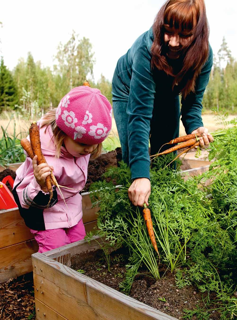 Tuplakorkeana...192,00 Korkeus 56 cm Sekä suora- että ristinurkkainen. EASYBED -KOHOPENKKI.