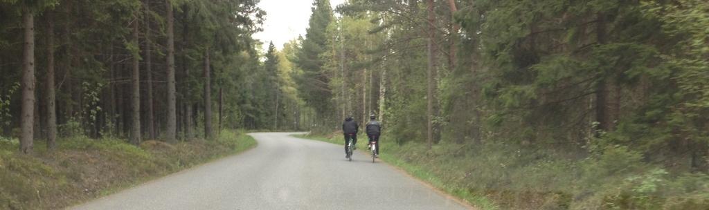 koululaiset hyödyntävät nykyistä ajoväylää, mutta riski ajoneuvojen kanssa kohtaamiselle on suuri. Lisäksi väylä on erityisen kapea ja mutkainen eikä sitä ole valaistu.