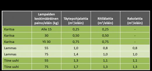 Jos rehua ei ole lampaille jatkuvasti tarjolla, ryhmän kaikkien eläinten on voitava ruokinta-aikana syödä samanaikaisesti.