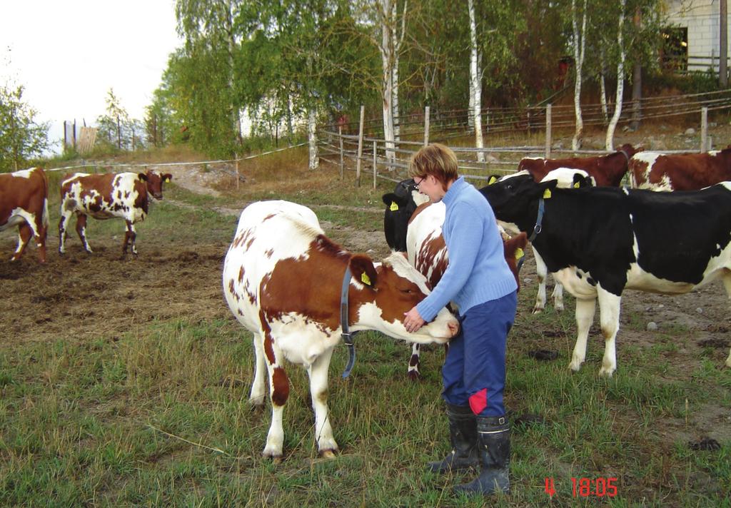 13 Hiehojen kasvatustilan tulee heti alussa miettiä resurssit tulevalle yritystoiminnalleen.