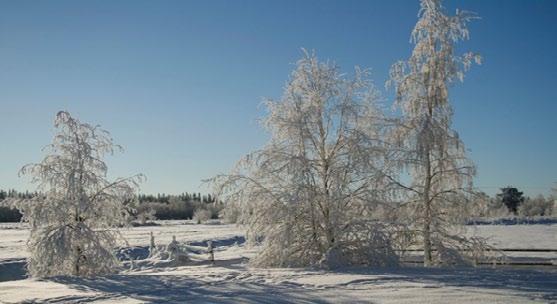 SIVISTYSTOIMI Kuntavaalien ennakkoäänestys alkaa ke 29.3.2017. Järjestämme perinteisen Siikajoen kirjastojen aukioloajat: Ruukin pääkirjasto p.