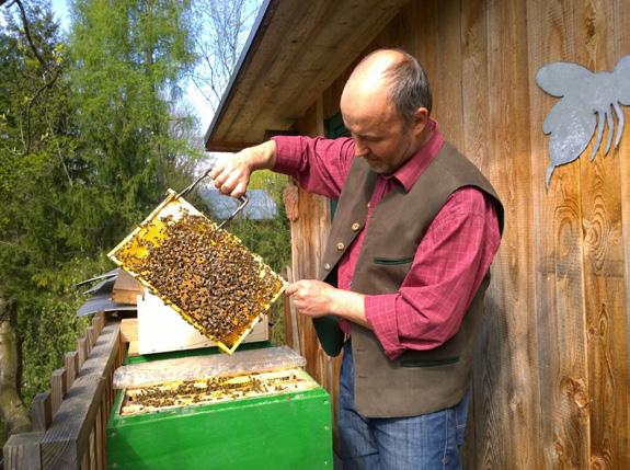 ympäristömyrkyt vaikuttavat pölyttäjiin. Sivutuotteena myydään mehiläisvahaa, siitepölyä, propolista eli kittivahaa ja kuningattaria.