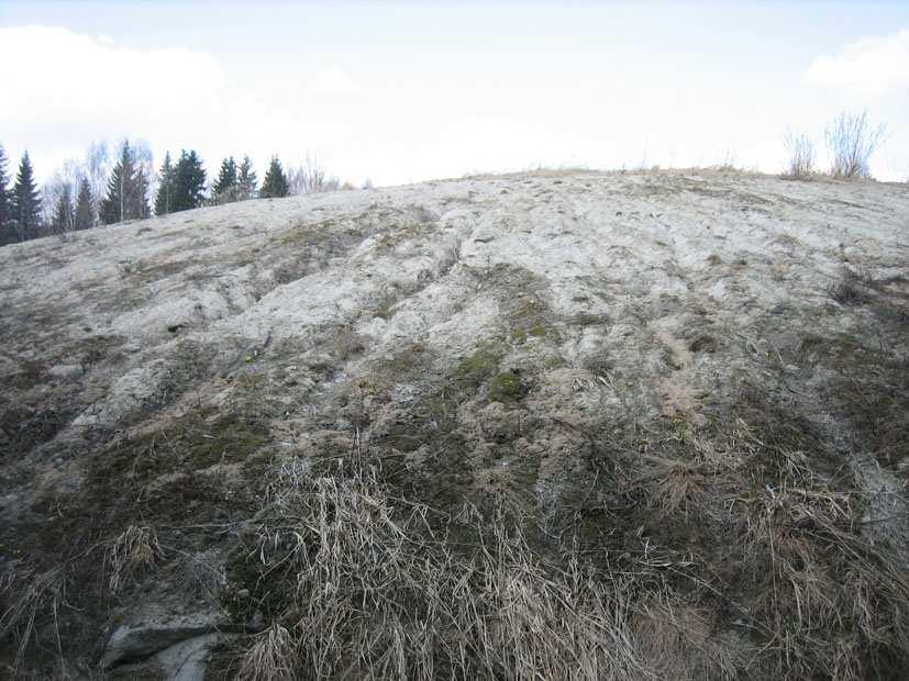 Toivonen Yhtiöt Oy Vironvuorten jätteenkäsittelykeskuksen ympäristövaikutusten arviointiselostus 49 Kuva 26. Viljakkalan suljettu kaatopaikka 3.5.2006. 5.