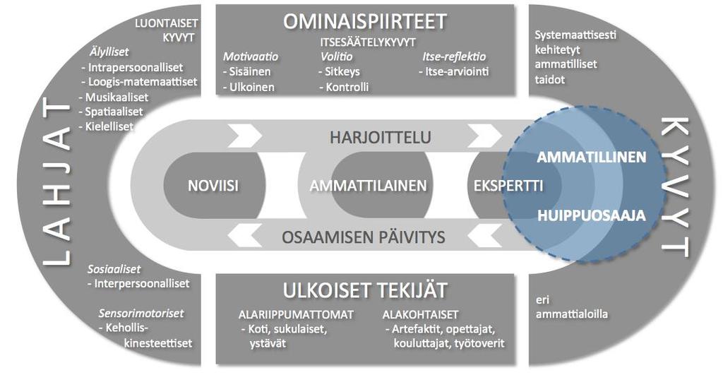 Ammatillinen osaamisen kehittyminen (Developmental model of