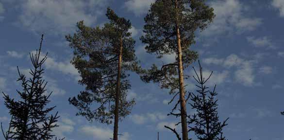 30 Vapaa-aika Vapaa-aika Kuntosali Ruoveden kunnan kuntosali, Urheilukeskus Kortit kirjastosta. Lisätiedot ja hinnat www.ruovesi.fi/palvelut/liikunta-ja-vapaaaika/liikuntapaikat tai p. 044 787 1373.