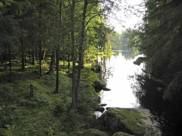 32 Nähtävyydet Nähtävyydet Helvetinjärven kansallispuisto Rotkolaaksoja, jyrkkärantaisia järviä ja pieniä metsälampia. Tunnetuin nähtävyys Helvetinkolu.