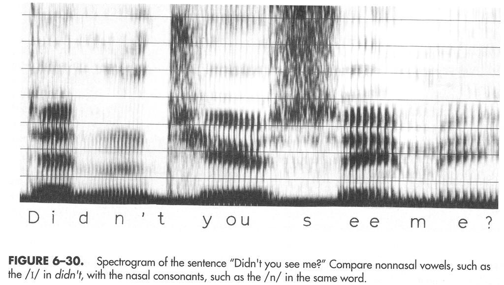 64 Kent, R.D. & Read, C. (1992) The Acoustic Analysis of Speech. London: Whurr. Havaintovihjeet: erotetaan muista äänteistä n.