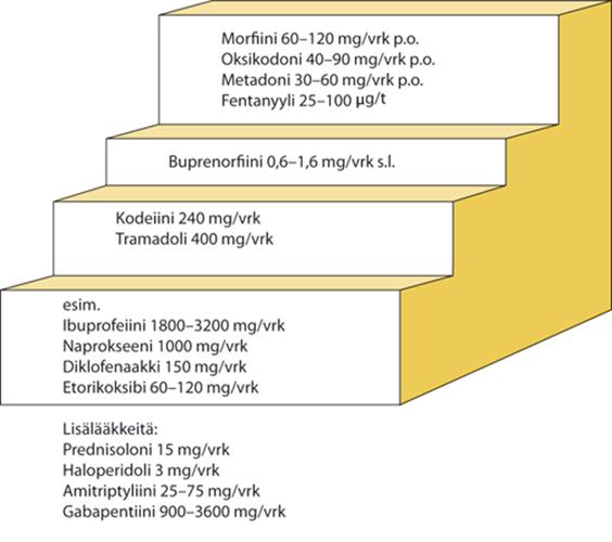 3.1 Lääkinnällinen kivunhoito Korhosen & Poukan (2013, 441) mukaan osa kuolevista potilaista pystyy ottamaan lääkkeet suun kautta vielä hyvinkin lähellä kuolemaa, etenkin jos lääke on liuosmuotoinen.