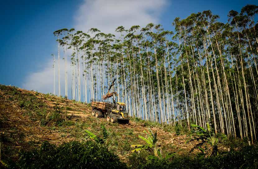 TUOTTEET PONSSE-tuoteperhe kattaa kaikki metsäkoneiden kokoluokat ensiharvennuksilta ja metsäenergian korjuusta järeisiin uudistushakkuisiin sekä kaikki puunkorjuukohteet pehmeiltä mailta jyrkille