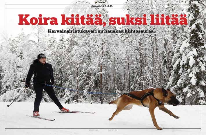 Talouden koko Vähemmän yhden, enemmän kahden hengen talouksia, mutta muuten Kantrin lukijat ovat varsin lähellä muita suomalaisia.