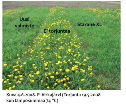 Rikkakasvitorjunnan vaikutus Luke (MTT) Karpe-hankkeessa (2009-2012) tutkittiin rikkakasvien vaikutusta nurmien satoon ja laatuun.