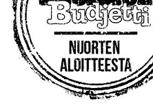 Helsingin nuorisoasiainkeskuksessa on laadittu tällaiset yhteiset pelisäännöt eli RuutiBudjetti-takuu. Ne konkretisoivat toiminnan tärkeimmät periaatteet eri osapuolille.