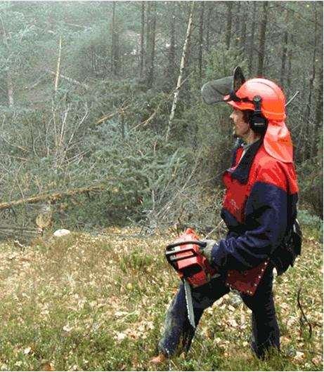 Metsäluonnonhoito Suomen metsäkeskus Luonnonhoito voi olla luonnonarvojen ylläpitämistä, lisäämistä tai metsän palauttamista luonnontilaisemmaksi.