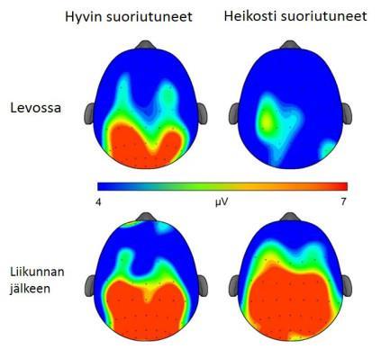 13 Kuva: Liikunnallisesti aktiiviset lapset saivat parempia arvosanoja kuin vähän liikkuvat lapset Samankaltaisia tuloksia on Syväojan mukaan saatu myös yhdysvaltalais- ja hollantilaistutkimuksissa.