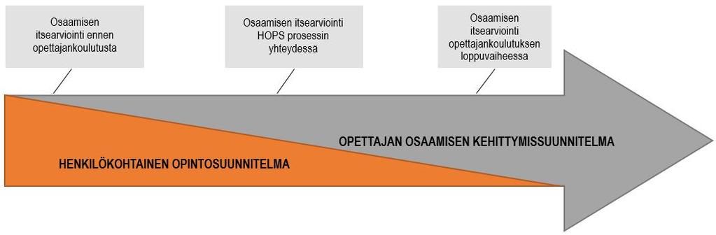 Jatkuva kehittyminen opettajana Itsearviointi ja oman kehityksen reflektointi kulkevat mukana opintojesi aikana.