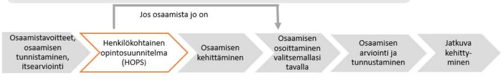 Henkilökohtainen opintosuunnitelma Ammatillisessa opettajakorkeakoulussa opiskelijoiden osaaminen on keskiössä.